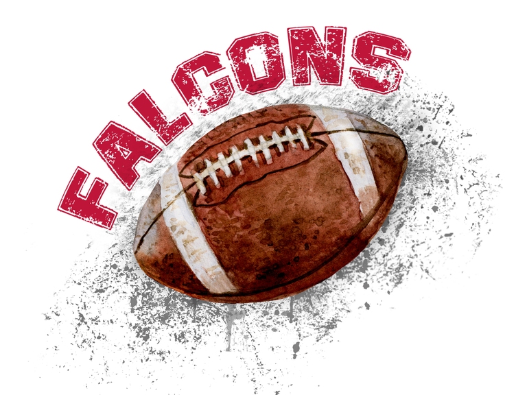 Falcons Football Team