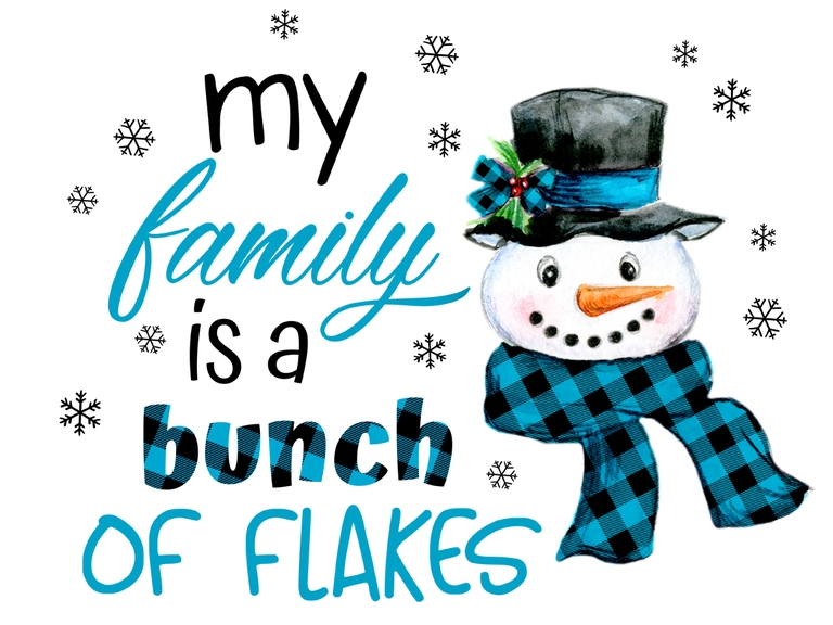 Plaid Snowman. My Family Is A Bunch Of Flakes