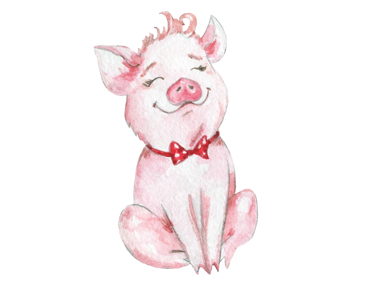 Pig Funny Watercolor 001