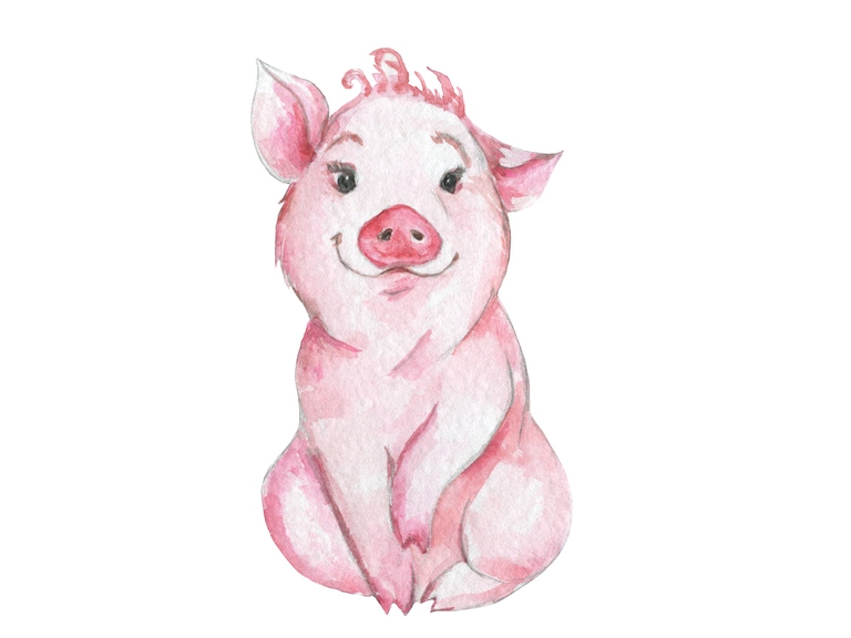 Pig Watercolor 002
