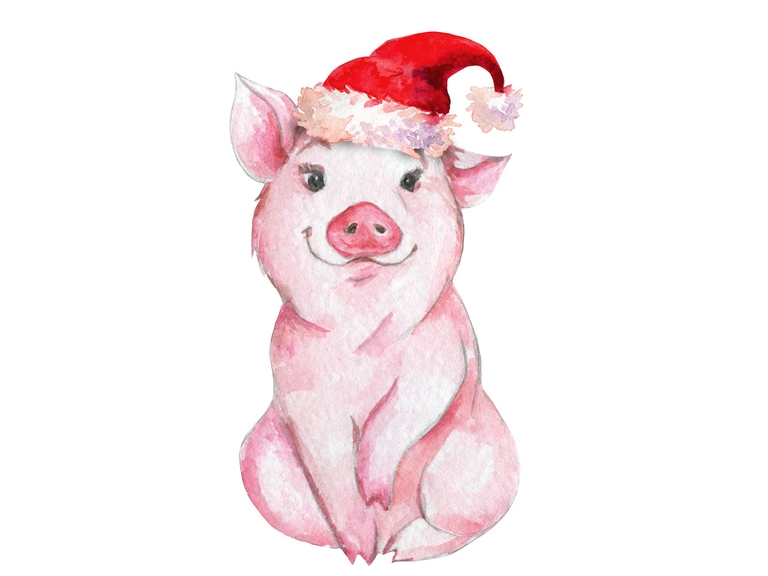 Pig With Santa Hat
