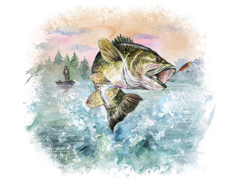 Bass Fishing Fisherman Watercolor (001)