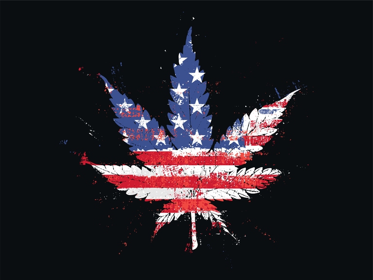 US Flag Cannabis Weed Marijuana Leaf