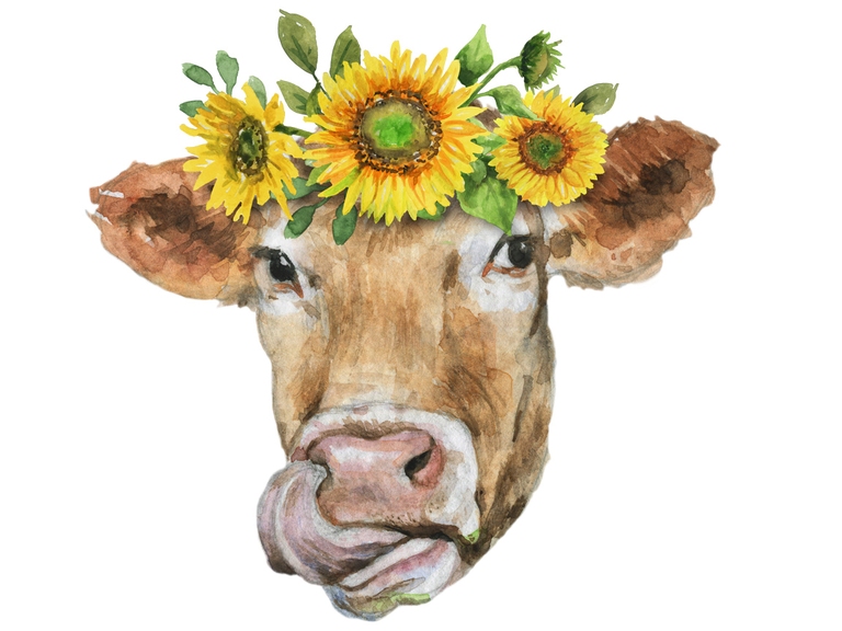 Brown Cow Head Face With Tongue Sunflower
