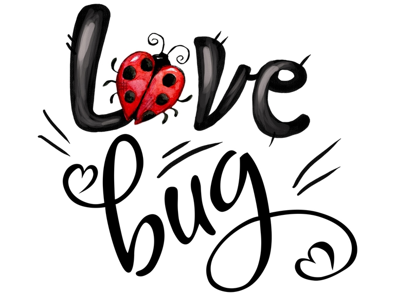 Love Bug Valentine's Day