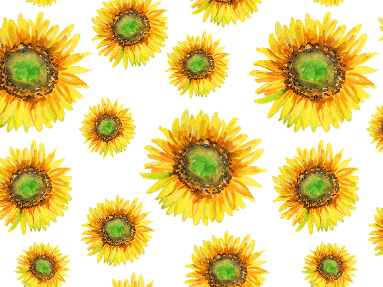 Sunflower Summer Watercolor Seamless Pattern