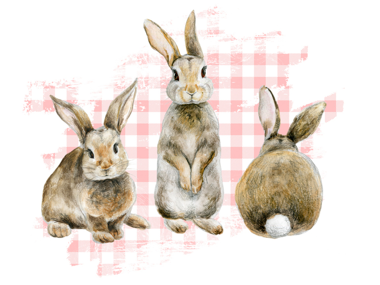 Easter Rabbit Bunny Plaid Watercolor Printable Digital Sublimation